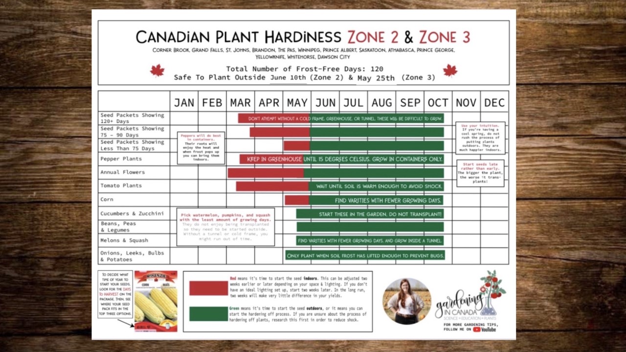 Seasonal Fertilizer Guide for Canadian Gardens - Featured Image