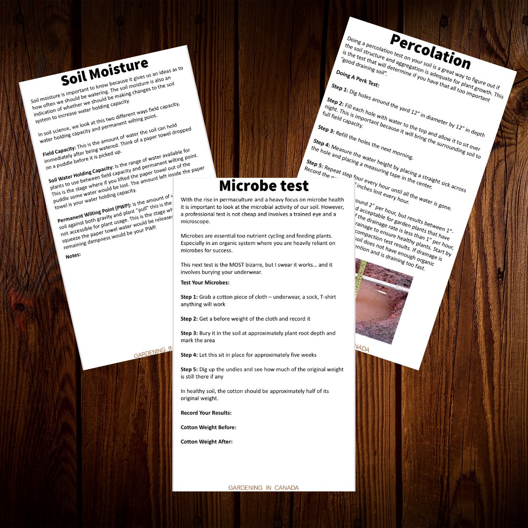 How to Test Garden Soil For Microbe Health Without A Microscope