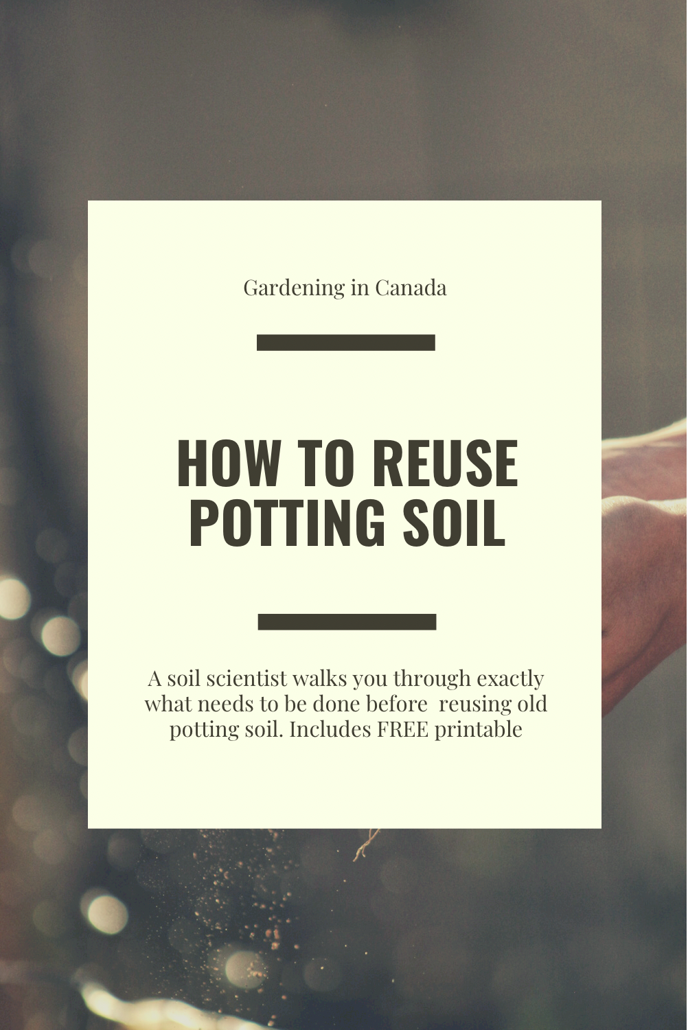 How To Revitalize And Reuse Potting Soil With A Soil Scientist