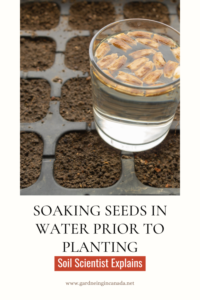 Soaking Seeds Before Planting