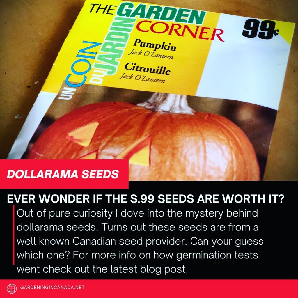 Are Dollarama Seeds Any Good?