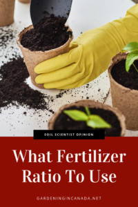 What Fertilizer Ratio Should You Use When?