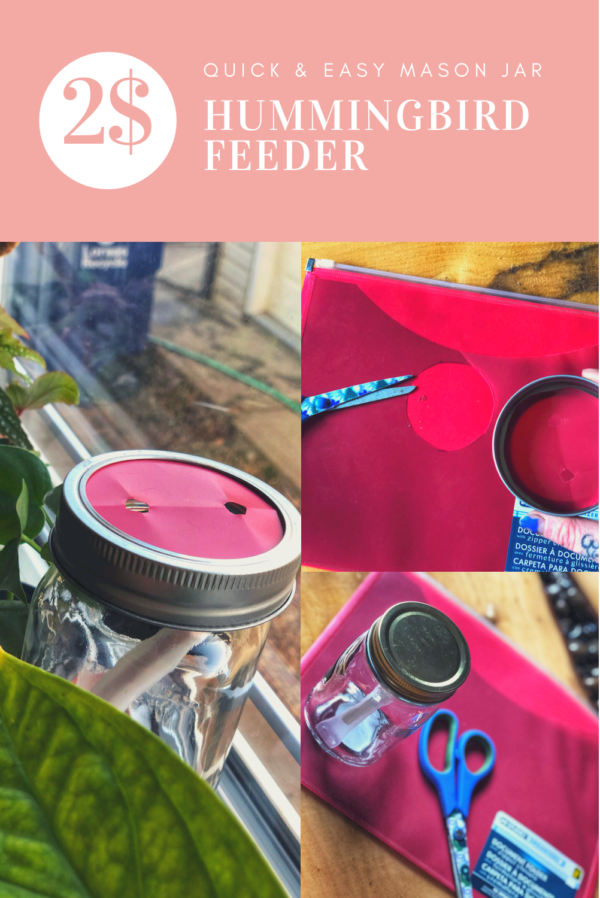 Mason Jar Hummingbird Feeder Dollarama DIY Gardening In Canada