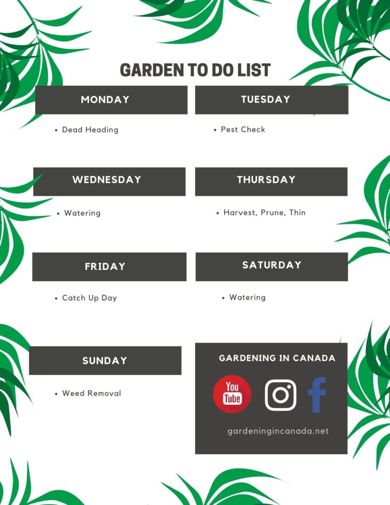 Garden To Do List For Canadian Gardeners