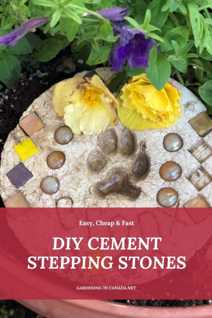 DIY Cement Stepping Stones