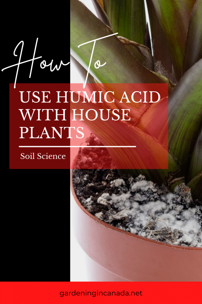 Using Humic acid With houseplants