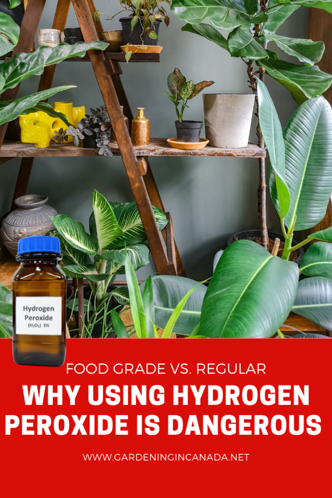 Using Food Grade Vs. Regular Hydrogen Peroxide