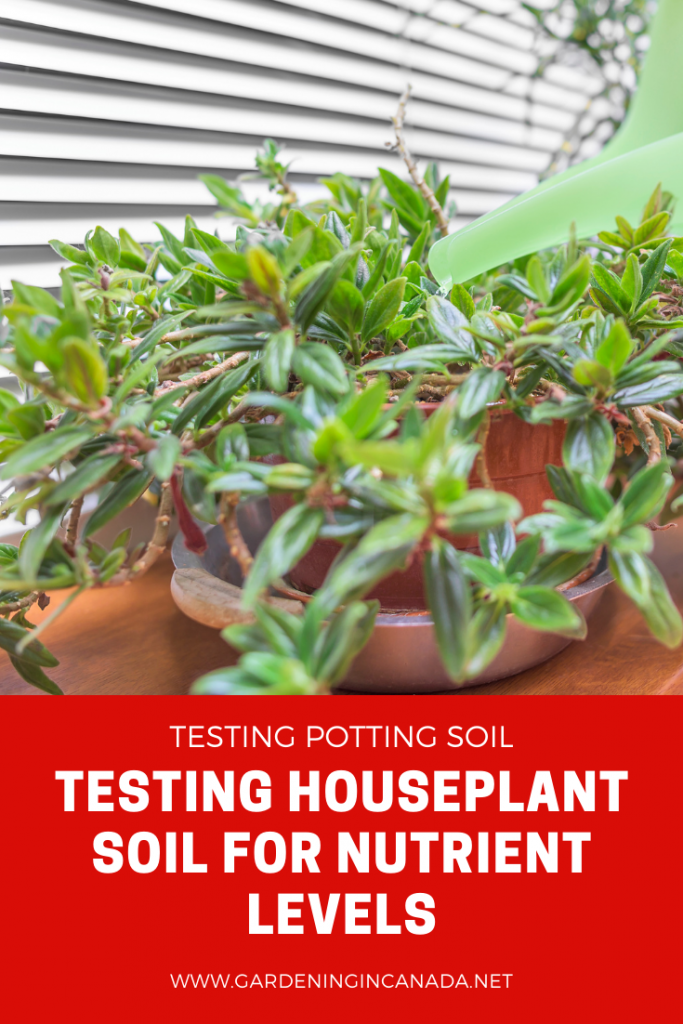 Testing House plant Potting Soil For Nutrients