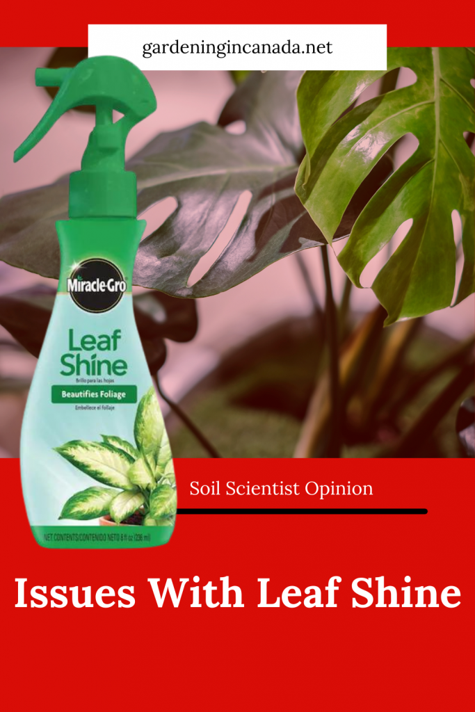 Issues With Leaf Shine