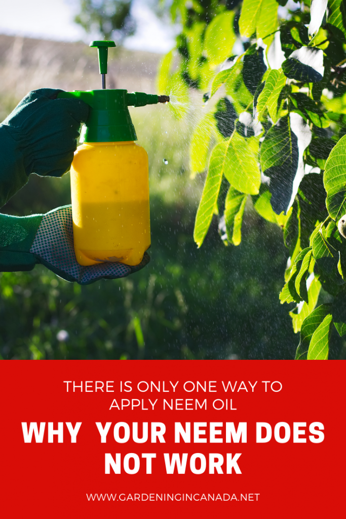 Why Neem Oil Stops Working on Pests