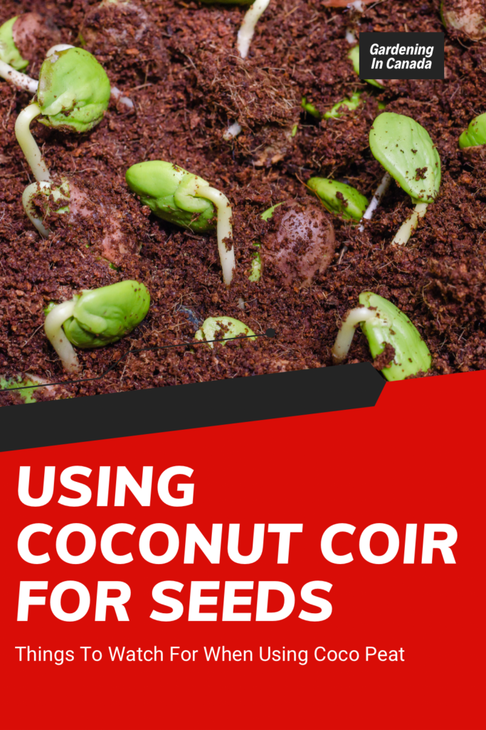 Using coconut coir for seed starting