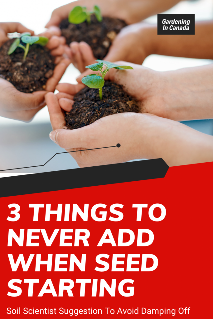 3 Things To Never Add When Seed Starting
