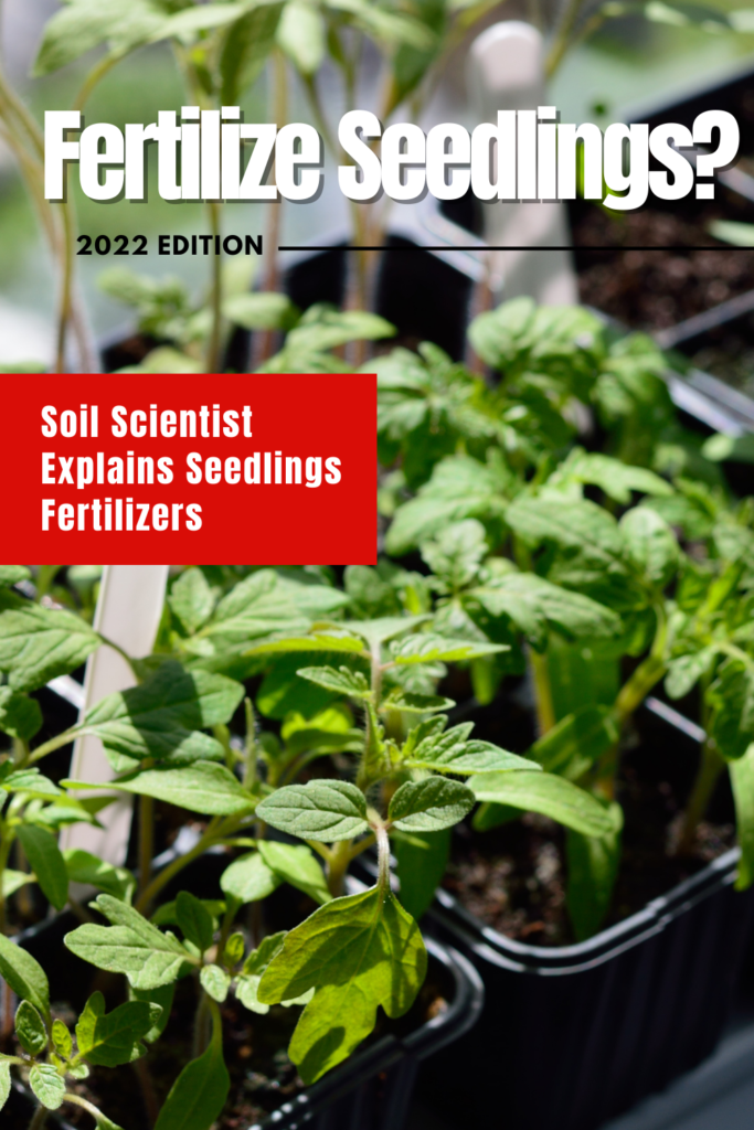 Should You Fertilize Seedlings?
