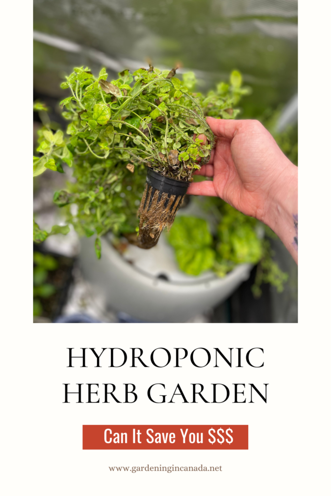 Hydroponic Herb Garden