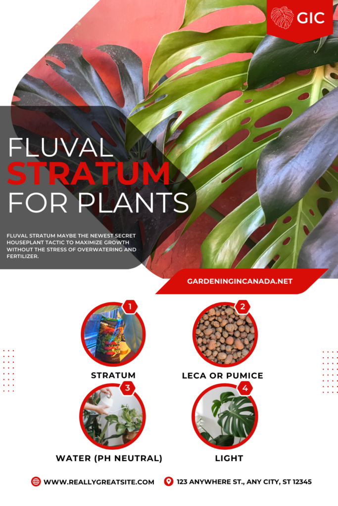 Fluval Stratum For Houseplants