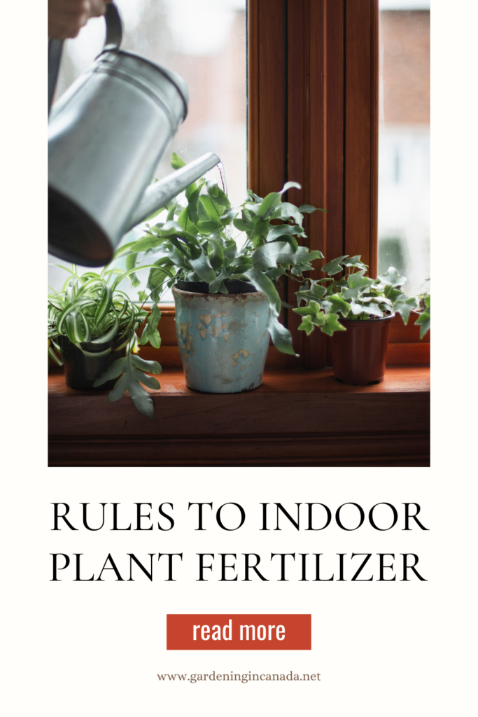 Fertilizer for Houseplants