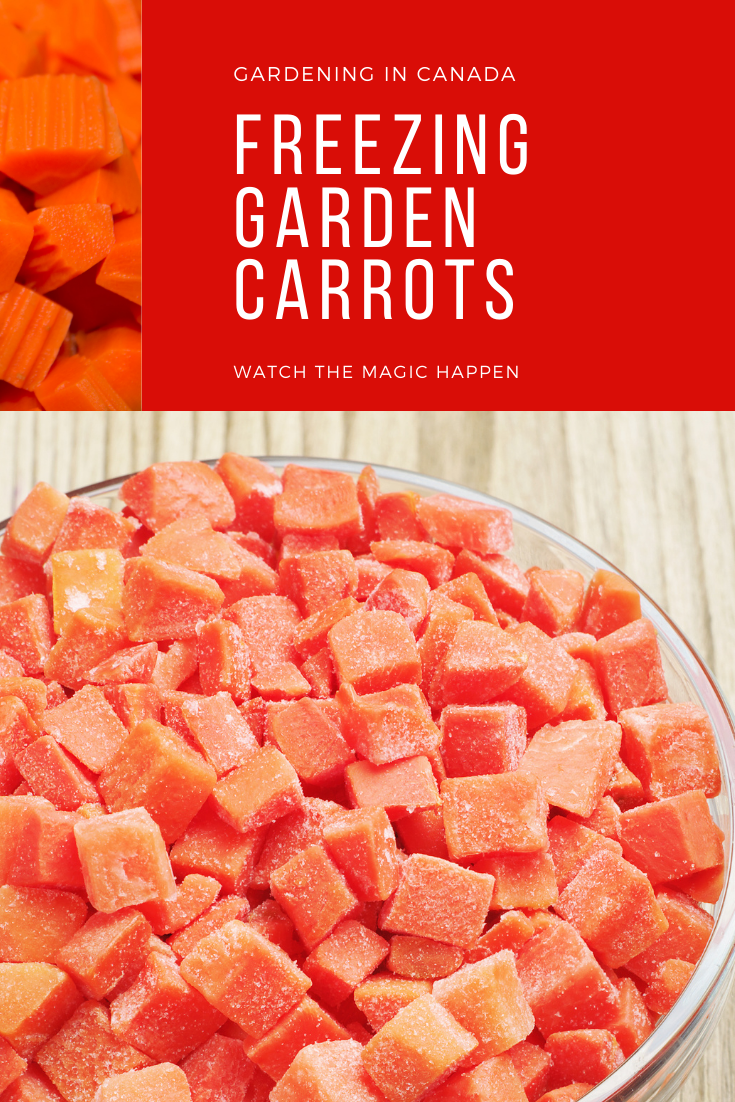 Freeze Fresh A StepbyStep Guide to Longterm Storage of Garden