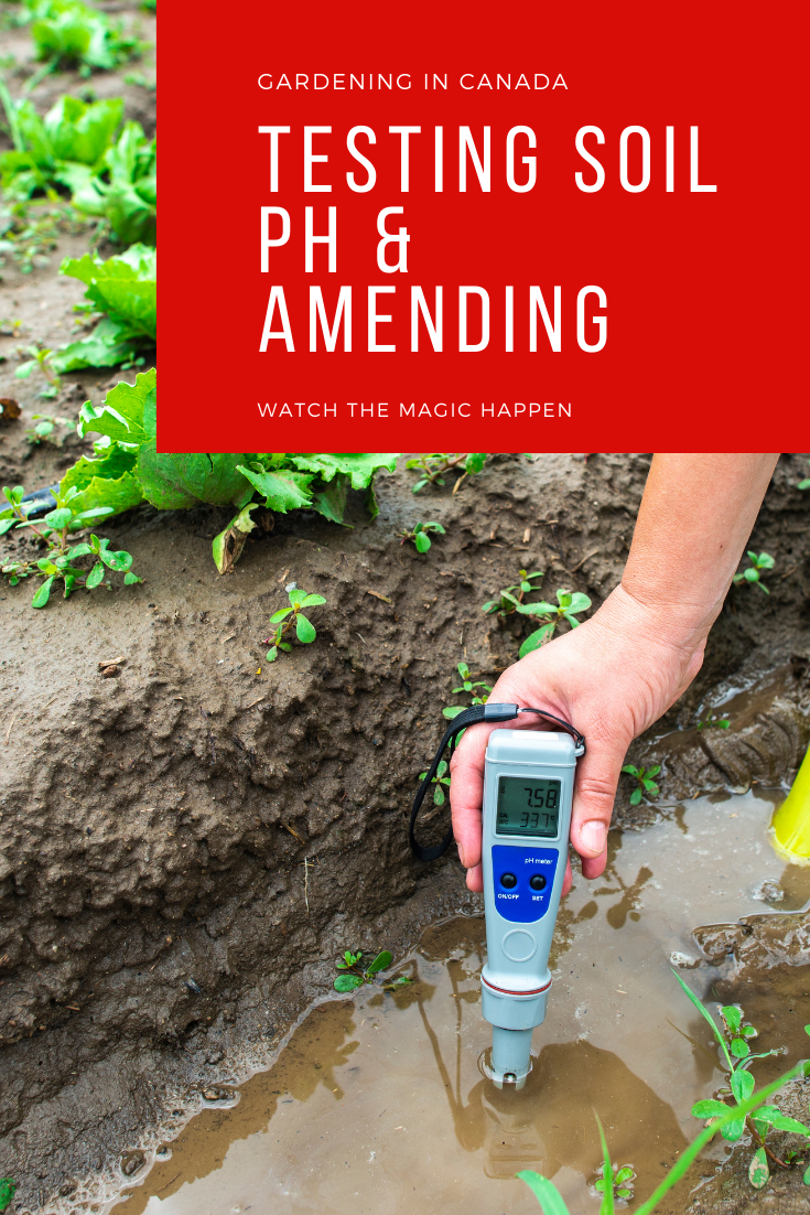 Testing Garden Soil pH Gardening In Canada