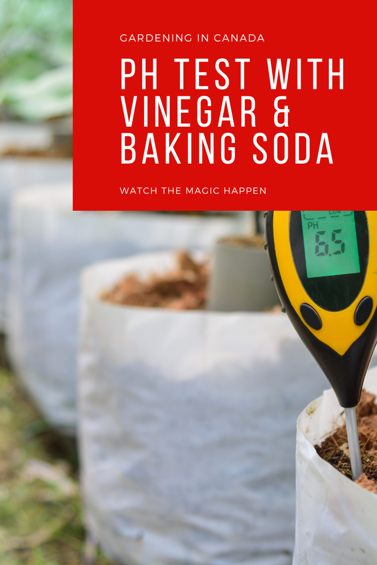 Simple and Inexpensive Garden Soil Testing with Baking Soda and Vinegar